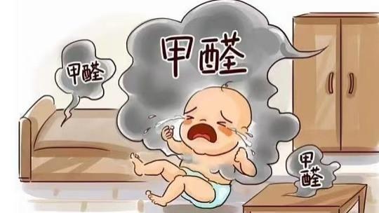 活性炭哪个牌子好？2026 年十款强力除甲醛产品全面盘点，高效祛除有害气体
