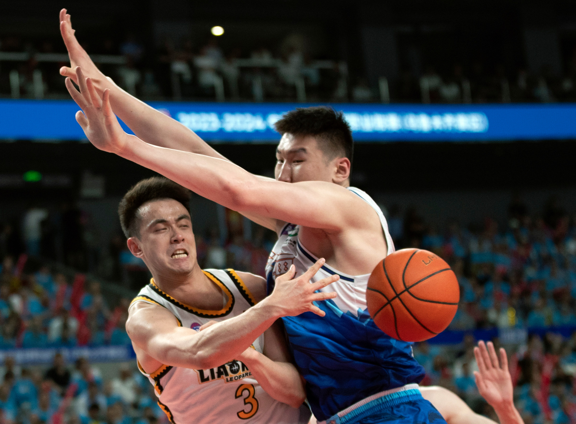 浙江队为什么能够在上场比赛斩获四连胜？并送给辽宁这支四冠王新一轮的惨败？

就在