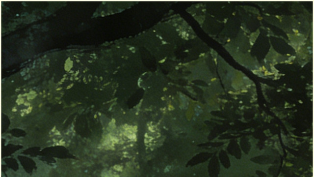 这双标算是让你玩明白了