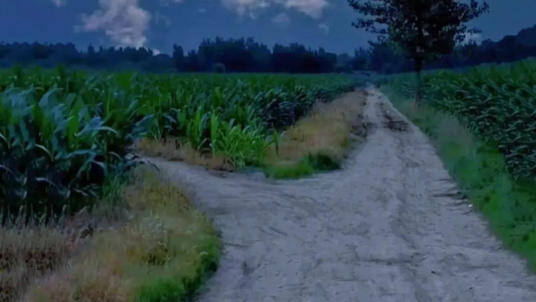 那夜的路（汪鲁兵）