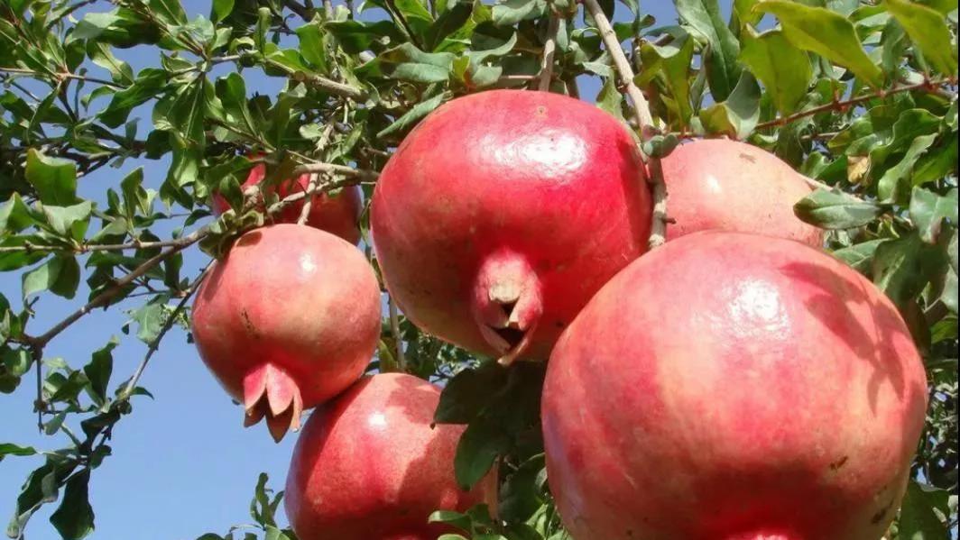 不是每份付出，都被人理解