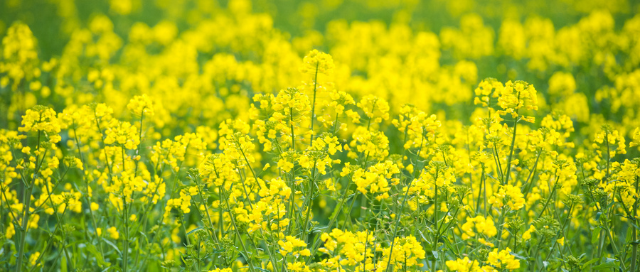 求助：老公对外人很好，唯独对家人薄情，怎么办？