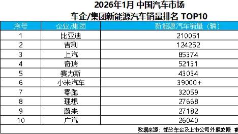 从1月榜单看车市格局，比亚迪领衔新能源车企