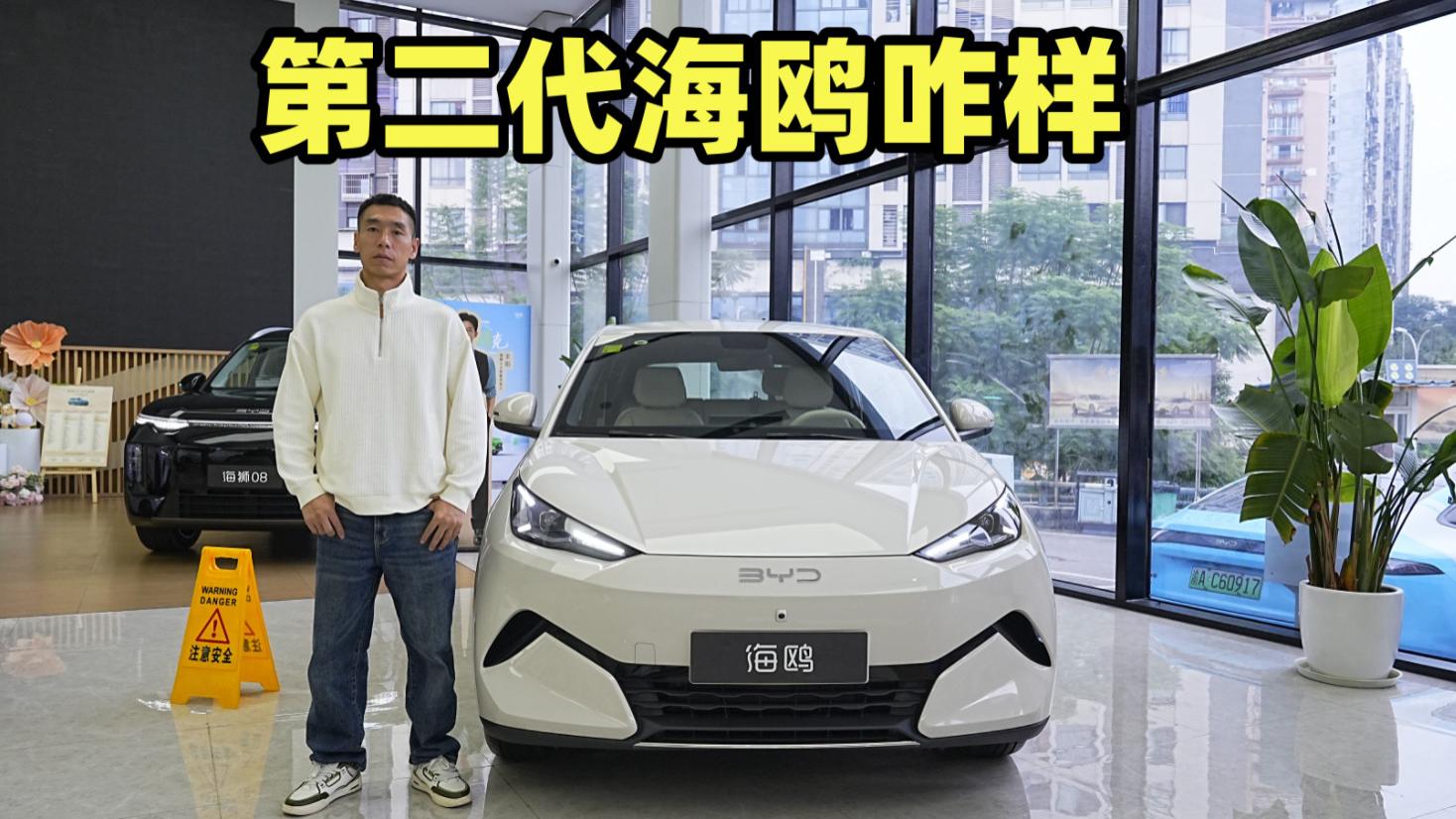 第二代海鸥咋样？