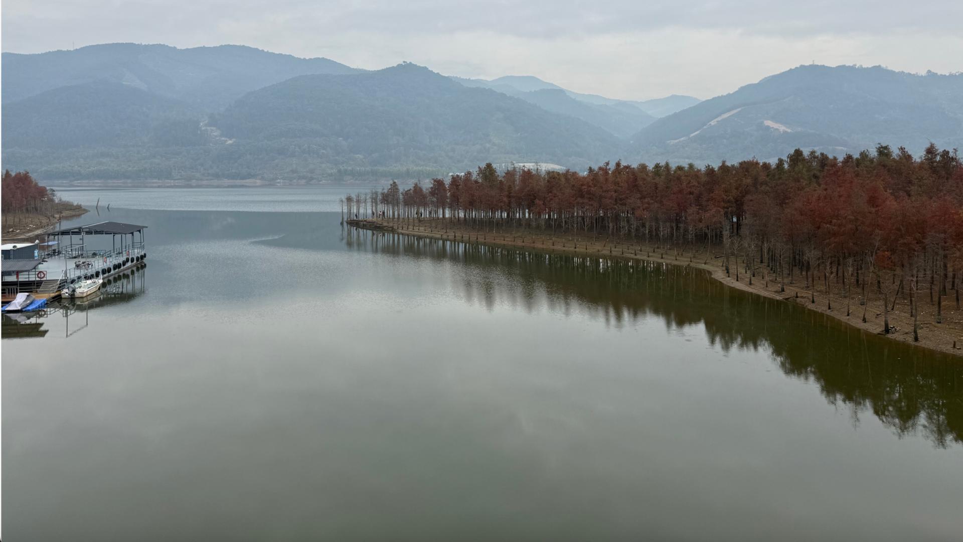 国剧的纾困和振兴，从重铺“水电煤”开始｜年中观察