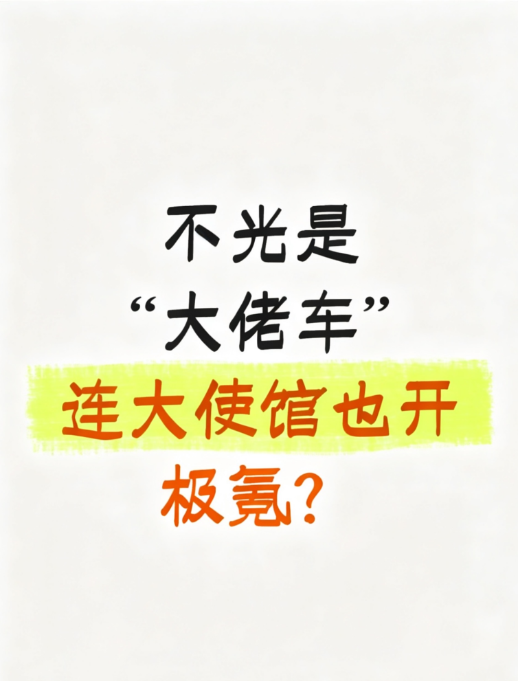 不光是“大佬车”，连大使馆也开极氪？