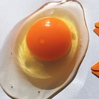 一颗鸡蛋