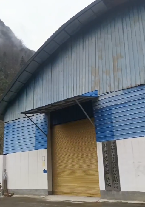 湖北省神农架老君山村发展遇阻，村民反映村务与民生问题待解决