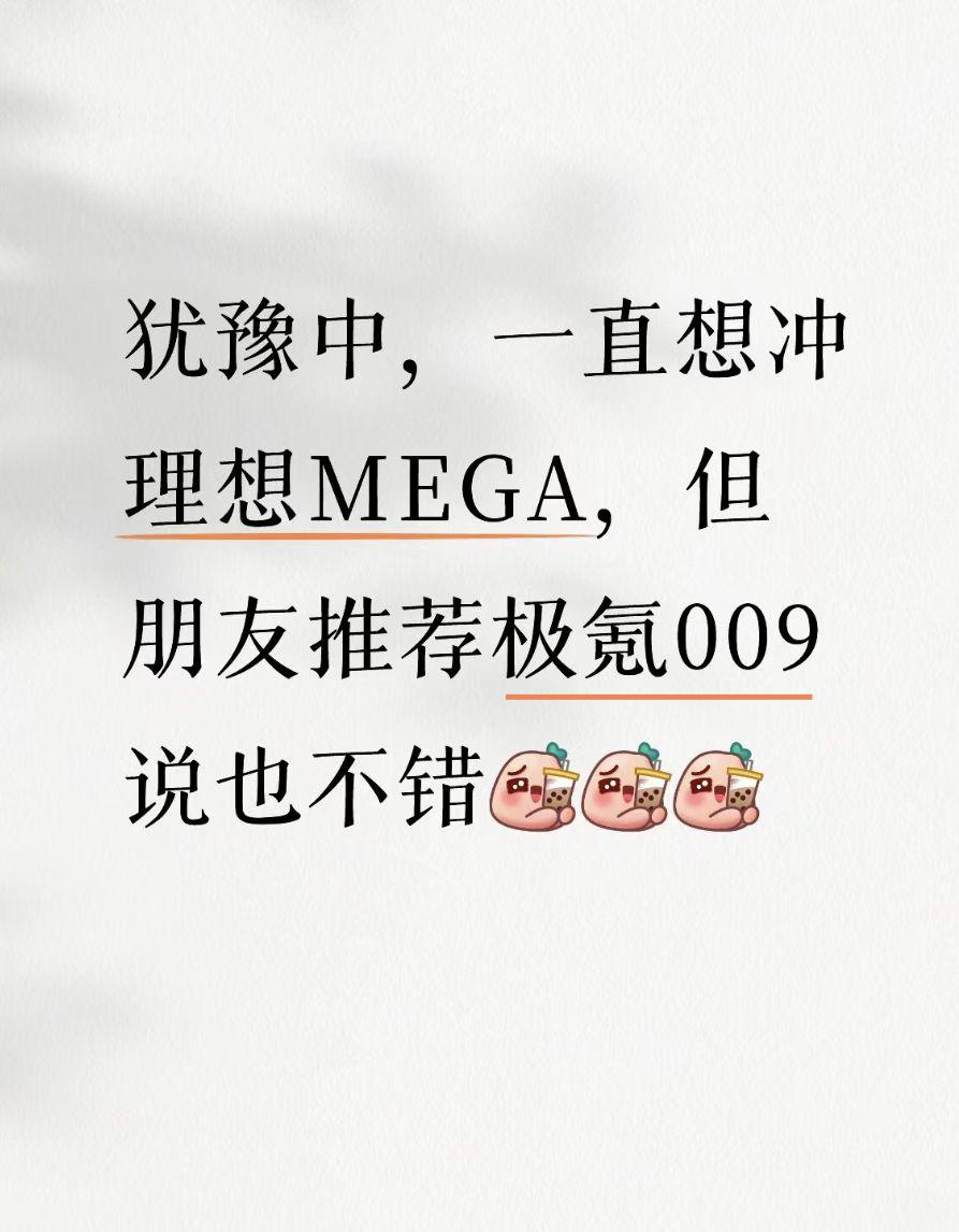 犹豫中，一直想冲理想MEGA，朋友推荐009说也不错