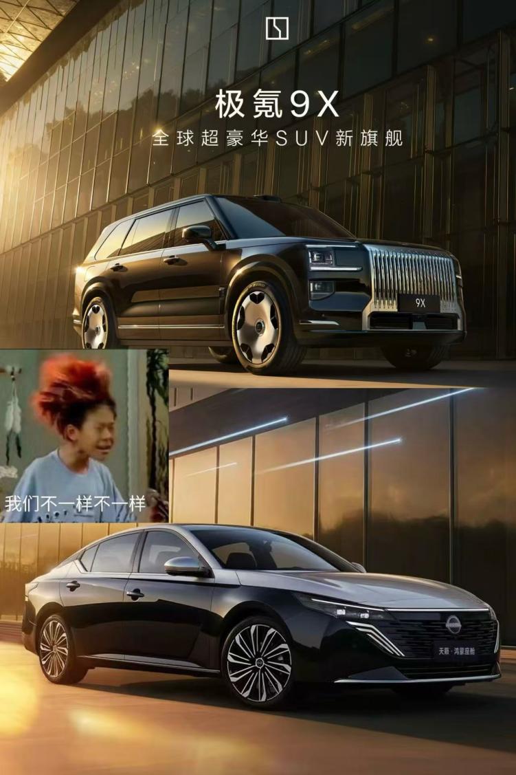 一边极氪9X，一边东风日产NX8，海报相似度99%