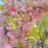 我有一条小锦鲤