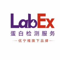 乐备实LabEx