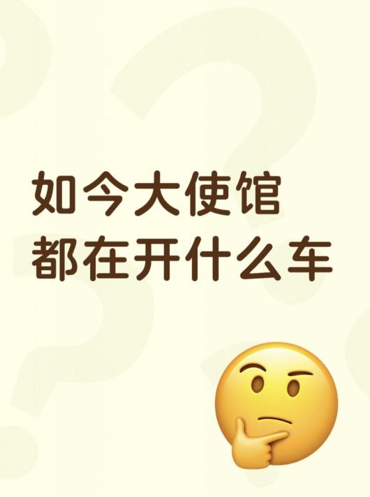 如今大使馆都在开什么车