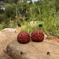 文玩老陈讲核桃