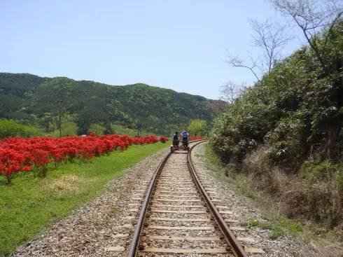 东南亚旅游|韩国除了泡菜, 还有这些小众美景