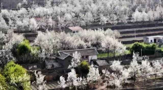 旅行|四川的最美旅行时间表，全都美哭了