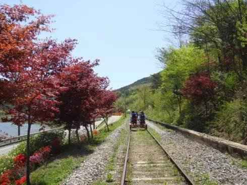 东南亚旅游|韩国除了泡菜, 还有这些小众美景