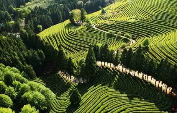 东南亚旅游|韩国除了泡菜, 还有这些小众美景