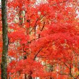 习惯了∥与影子的对话﹌