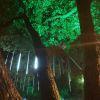 挽不回曾经的誓言