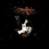 ♚苏格拉底的眼泪