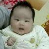 书友15264