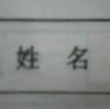 叛逆的宠物