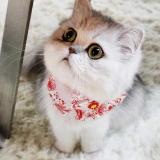 嘉(∩_∩)