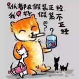 书友69352