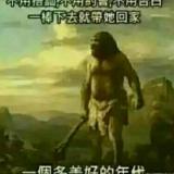 书友27150