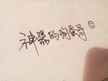 书友74512