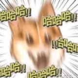 谁与争疯