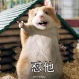 lu不羁