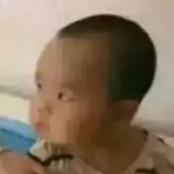 枫林晚
