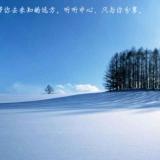 书友36591