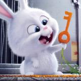 瑪法裡奧·怒風