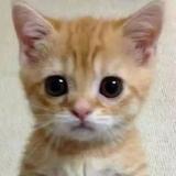 放你娘的香蕉螺旋拐弯炸弹屁