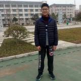 杨华伟