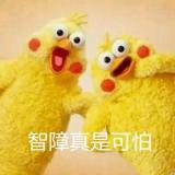 天才小熊猫