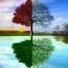 Yanam Wang