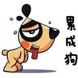 书友78214