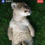 来打我啊
