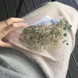 阿九