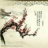 数本1班晓丽