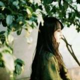书友68279