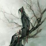 书友42376