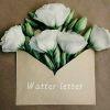 Water letter