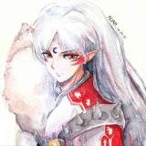 黑花猫  manger. le. ple