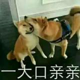 鹿路