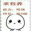 。。。。。。。。。。。，